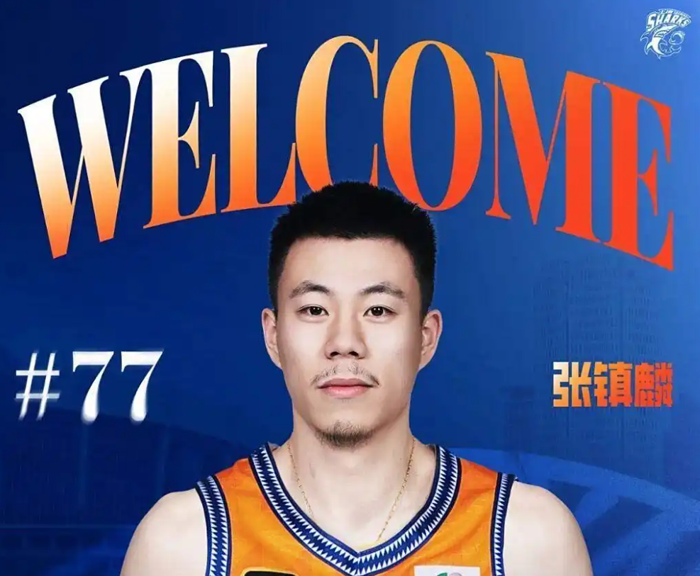 再加上其他, 张镇麟在进, 参考价值 再加上其他, 张镇麟在进, 参考价值